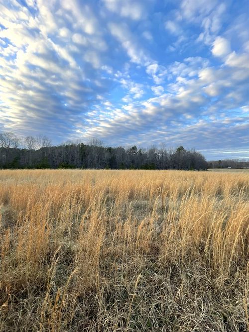0 Sugar Hill Rd, Brookneal, VA, 24528 | Card Image
