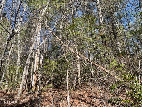 24 Chipman Ct, Crossville, TN, 38558 | Card Image