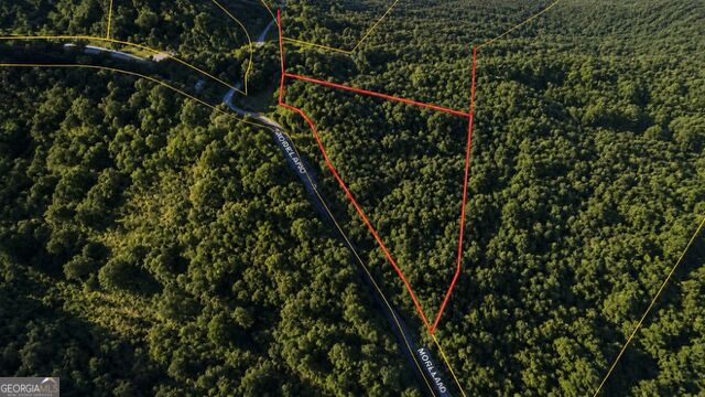 Land in Ellijay 2