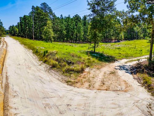 234 Chandler Dr, Gilbert, SC, 29054-8732 | Card Image