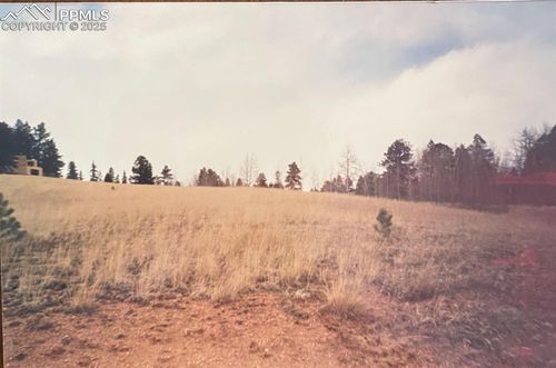 785 Obsidian Dr, Florissant, CO, 80816-9264 | Card Image