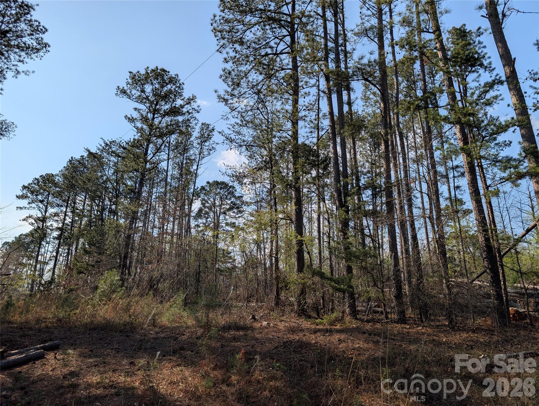 Land in Forest City 4