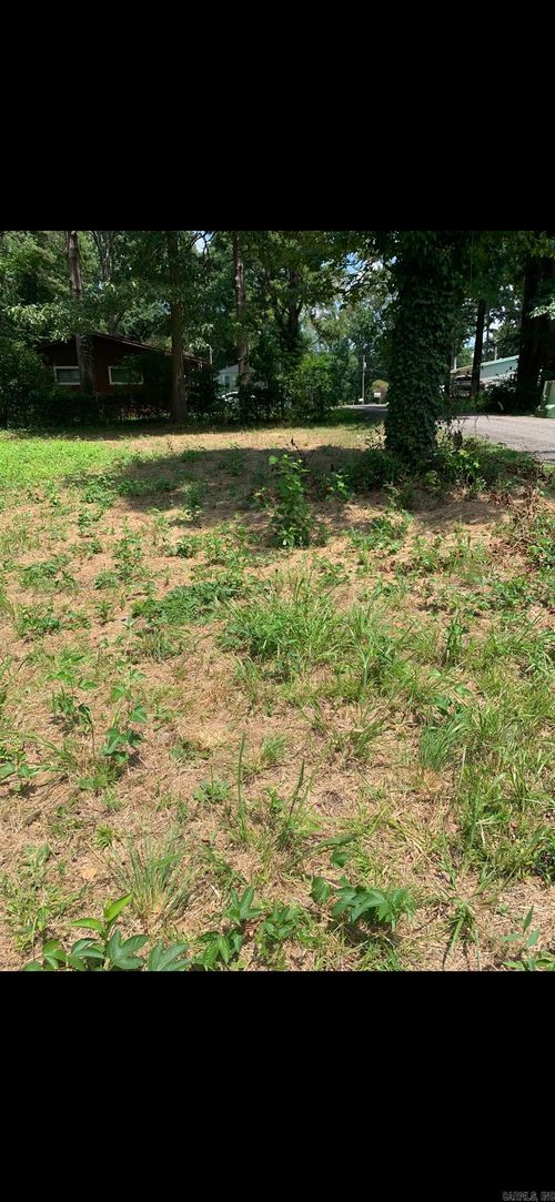 Lots 35 -39 Trout, Perryville, AR, 72126 | Card Image