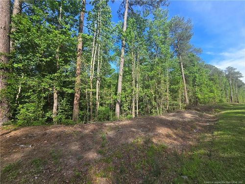 Tbd Cabins Creek Rd, Vass, NC, 28394 | Card Image
