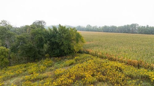 TBD (Lot 2) Goat Back Rd, Pepin, WI, 54759 | Card Image