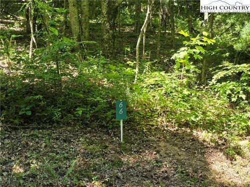 66 White Tail Trl, West Jefferson, NC, 28694 | Card Image