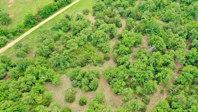 440 County Road 314, Home with 0 bedrooms, 0 bathrooms and 2 parking in Milano TX | Image 19