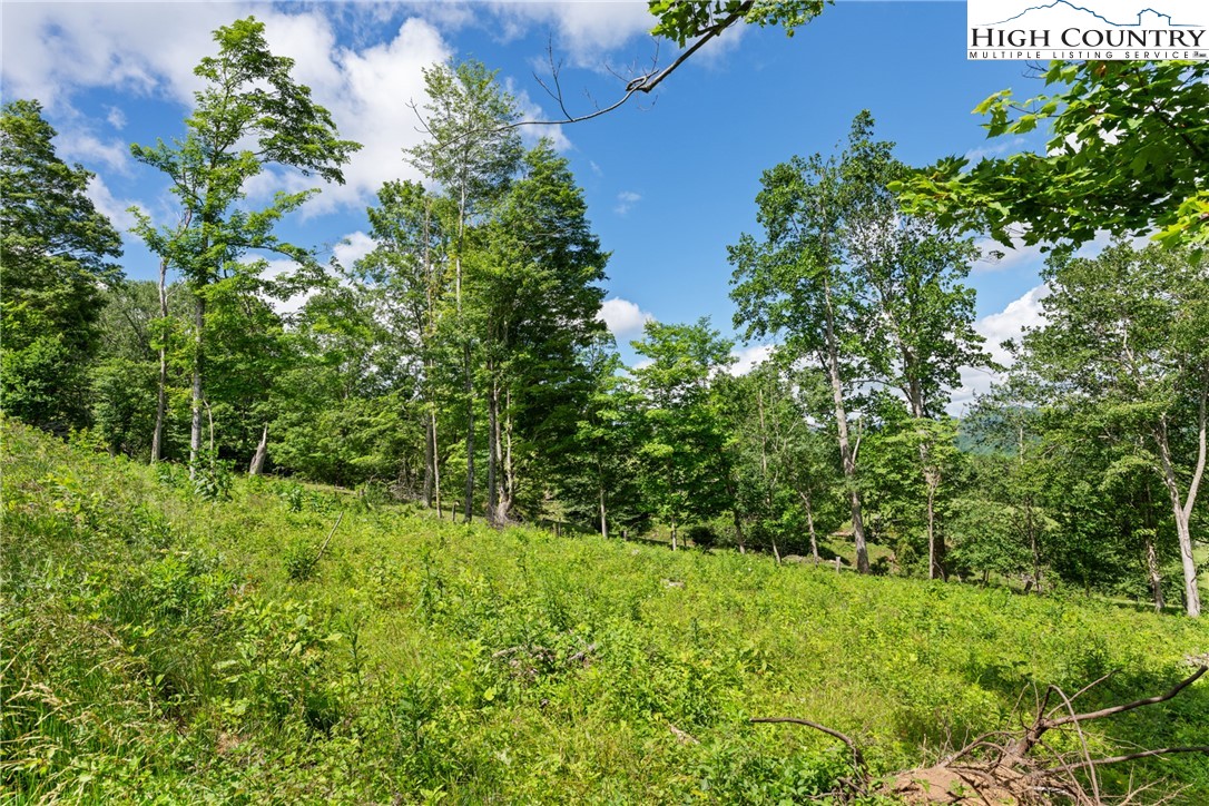 Land in Creston 2
