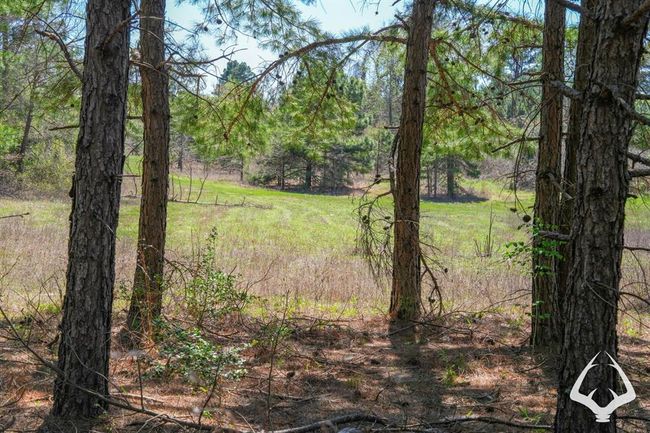 2 E Fm 323, Home with 0 bedrooms, 0 bathrooms and null parking in Palestine TX | Image 10