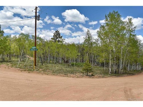 55 Aspen Way Dr, Guffey, CO, 80820 | Card Image