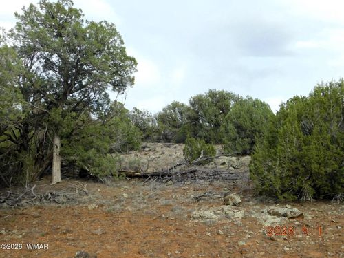 2122 Marken Ranch Rd, Show Low, AZ, 85901-8655 | Card Image