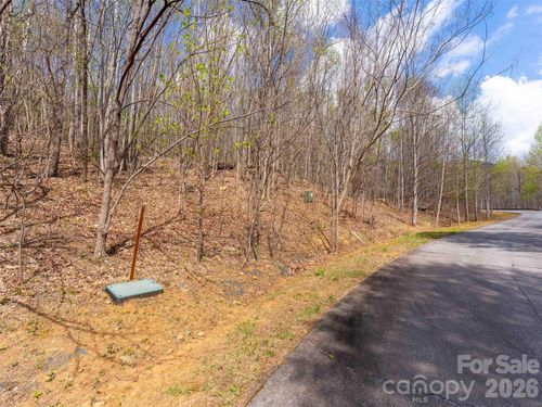 196-Lot 196 Cherry Hill, Mill Spring, NC, 28756 | Card Image