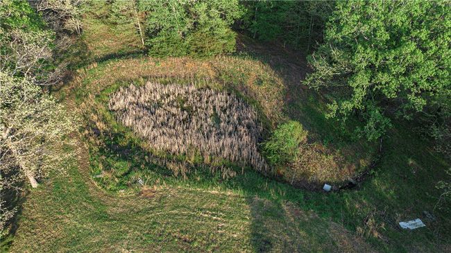 First pond | Image 21