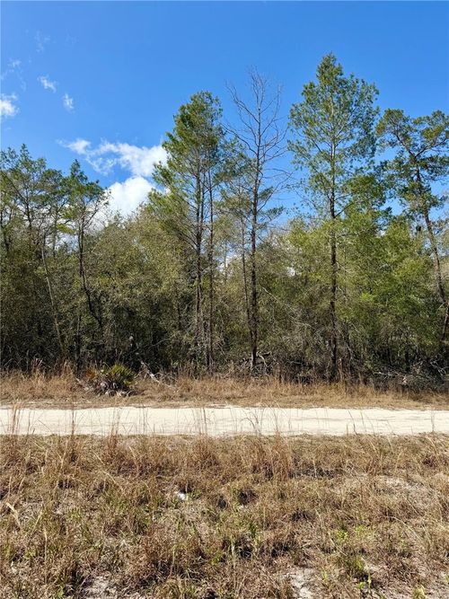 TBD Ne 110th Ct, FORT MC COY, FL, 32134 | Card Image
