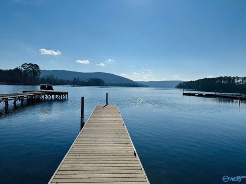 17-10174 County Road 67, Langston, AL, 35755-8386 | Card Image