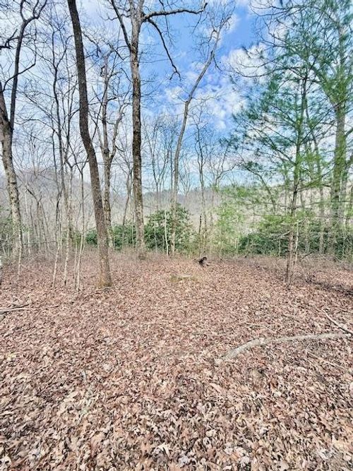 00 Pleasantview Ln, Robbinsville, NC, 28771 | Card Image