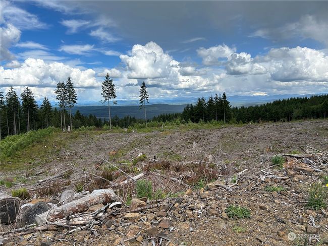 0 NKA 713 Road, Home with 0 bedrooms, 0 bathrooms and null parking in Castle Rock WA | Image 15