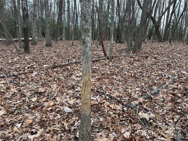 00 Austin Traphill Rd, Home with 0 bedrooms, 0 bathrooms and null parking in Elkin NC | Image 5