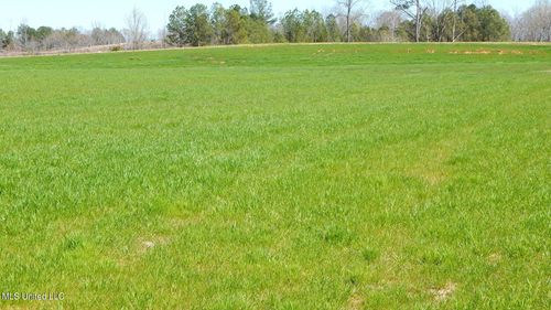7 Graysport Crossing Rd, Gore Springs, MS, 38929-9320 | Card Image