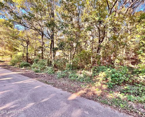 0 Snow Lake Dr, Ashland, MS, 38603 | Card Image