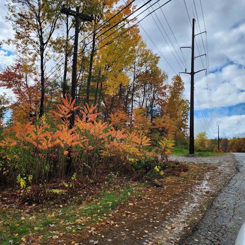 0 Ashuelot Dr, Tilton, NH, 03276 | Card Image