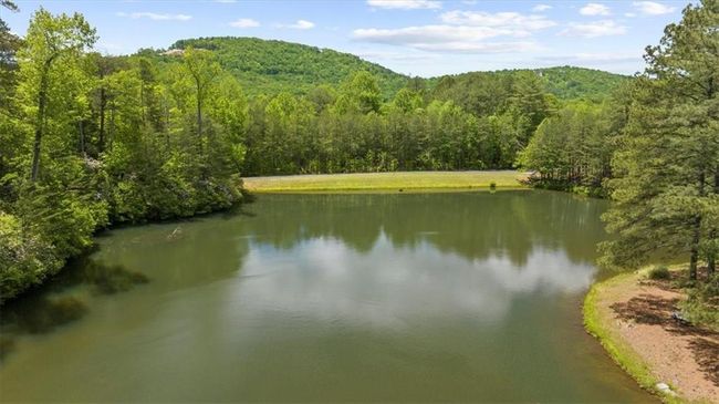 0 Golden Delicious Rd, Home with 0 bedrooms, 0 bathrooms and null parking in Clarkesville GA | Image 7