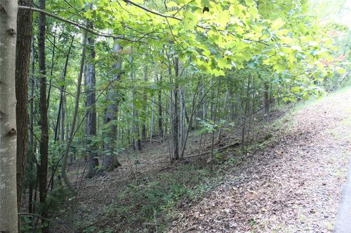 0 Azule Ridge Dr, Bostic, NC, 28018 | Card Image