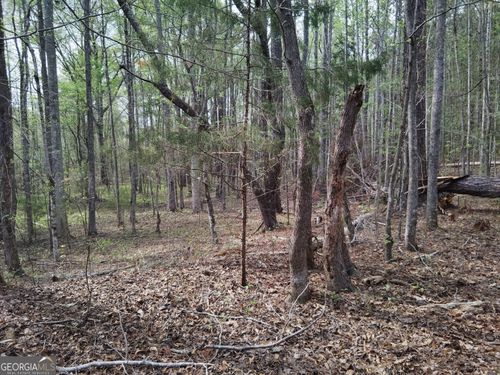 75 Lee Ln, Greenville, GA, 30222-3420 | Card Image