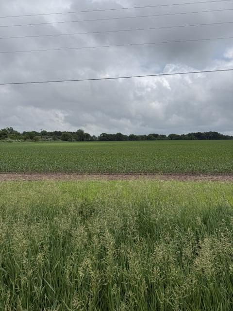 Land in Greenville 5