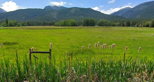 NHN Sweeney Creek Loop, Florence, MT, 59833 | Card Image