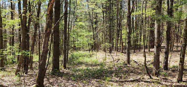 lot 30 Algerine Street, Home with 0 bedrooms, 0 bathrooms and null parking in Afton NY | Image 34