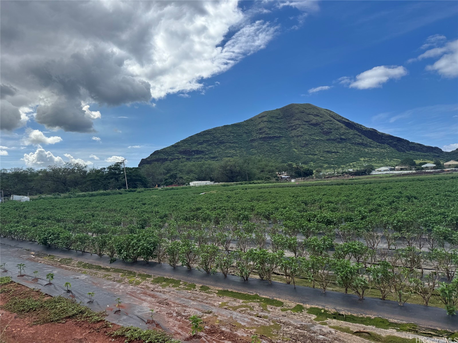Land in Waianae 2