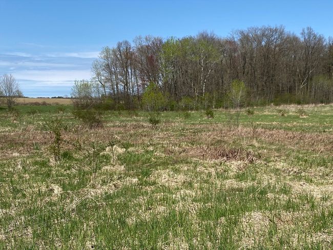 18 Conway Rd, Home with 0 bedrooms, 0 bathrooms and null parking in Deerfield MA | Image 4