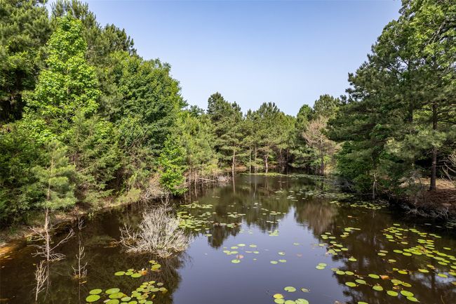 0 Johnson Rd, Home with 0 bedrooms, 0 bathrooms and null parking in Winona TX | Image 14
