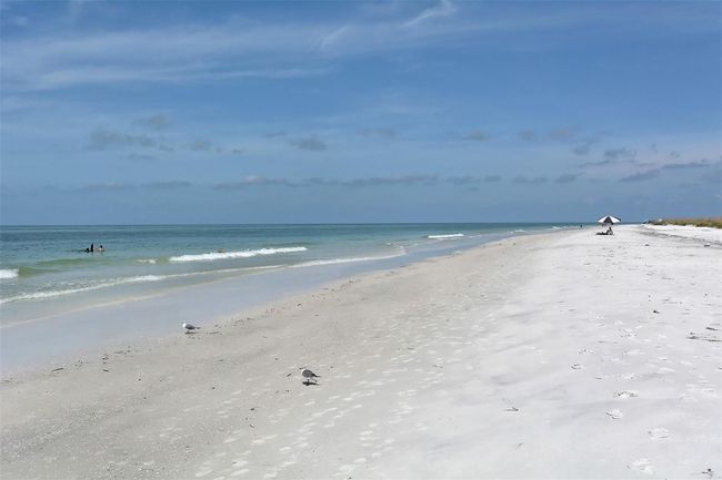 APT-704 - 4104 128 Th St W, Condo with 3 bedrooms, 2 bathrooms and null parking in CORTEZ FL | Image 76