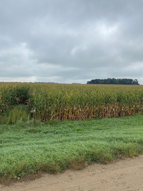 10544 State Highway 4, Saint James, MN, 56081-4025 | Card Image