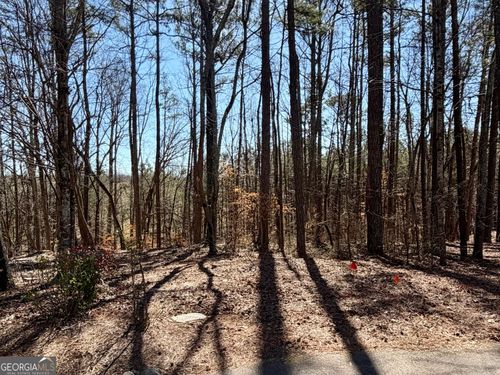 2487 S Carroll Ct, Villa Rica, GA, 30180-4061 | Card Image