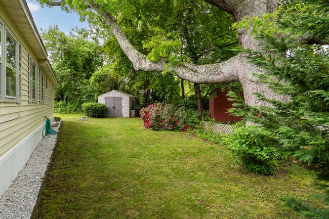 Magnificent Oak Tree, Mature Azalea, Rhododendron and Hydrangea grace the low maintenance yard | Image 20