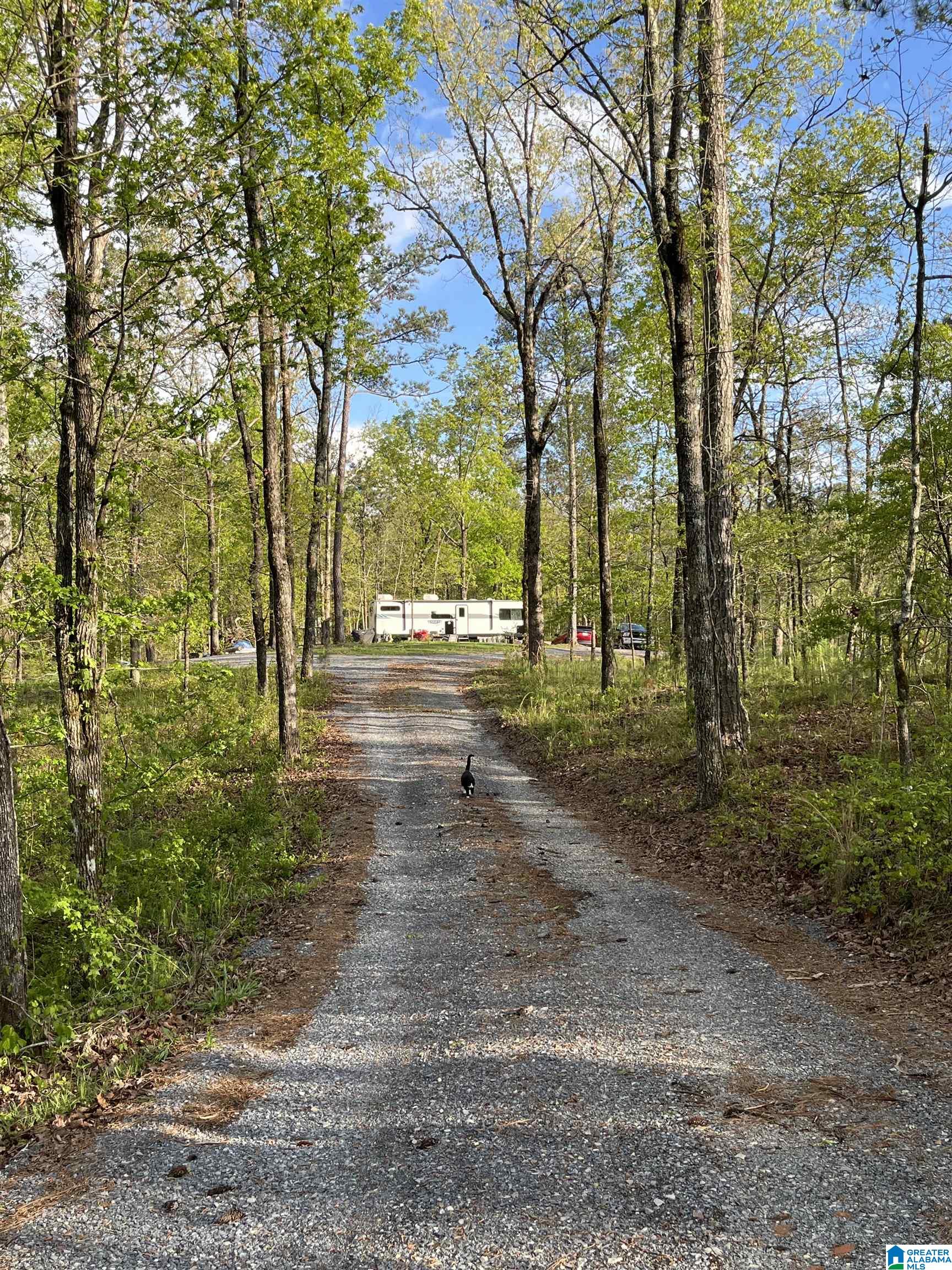 Land in STERRETT 2