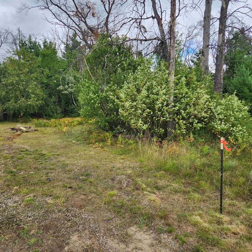 6324 Pine Point Dr, Grayling, MI, 49738-8619 | Card Image