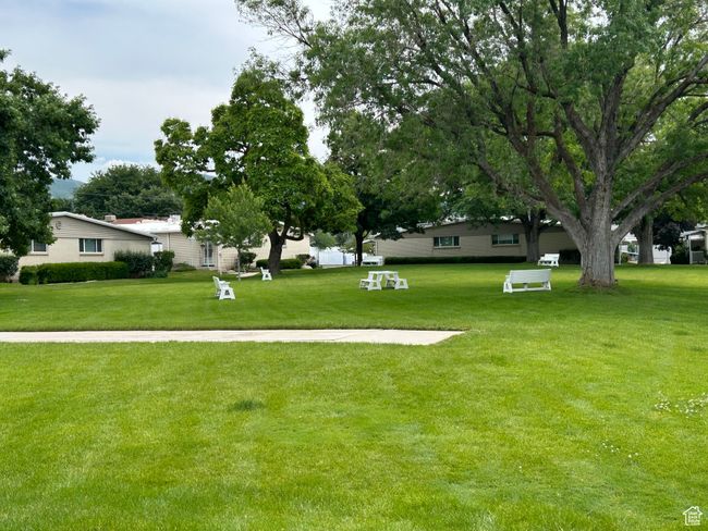 View of green lawn | Image 18