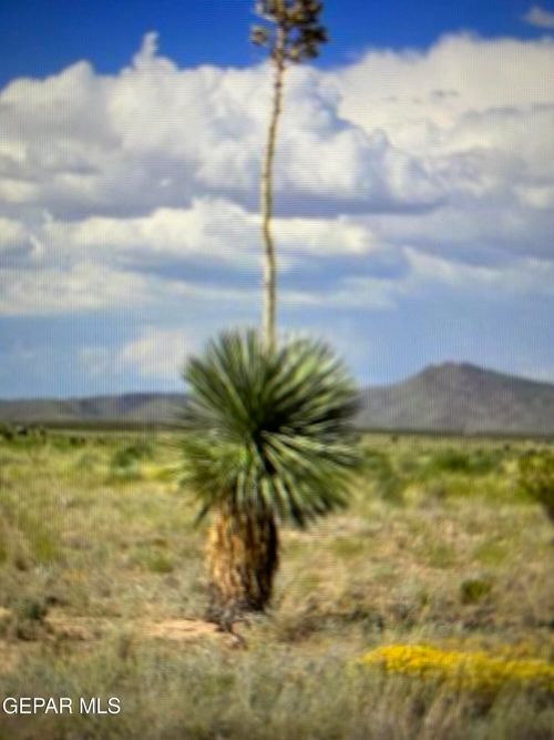 PN-75979 Sierra Blanca Ave, Sierra Blanca, TX, 79851 | Card Image