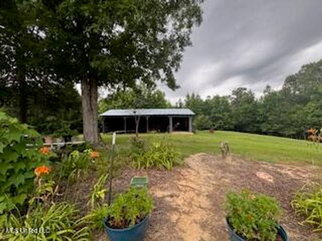 Shed 1 | Image 58