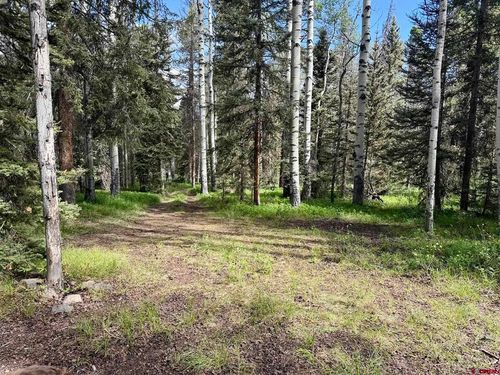 425 Aspen Trl, Cimarron, CO, 81220-9580 | Card Image