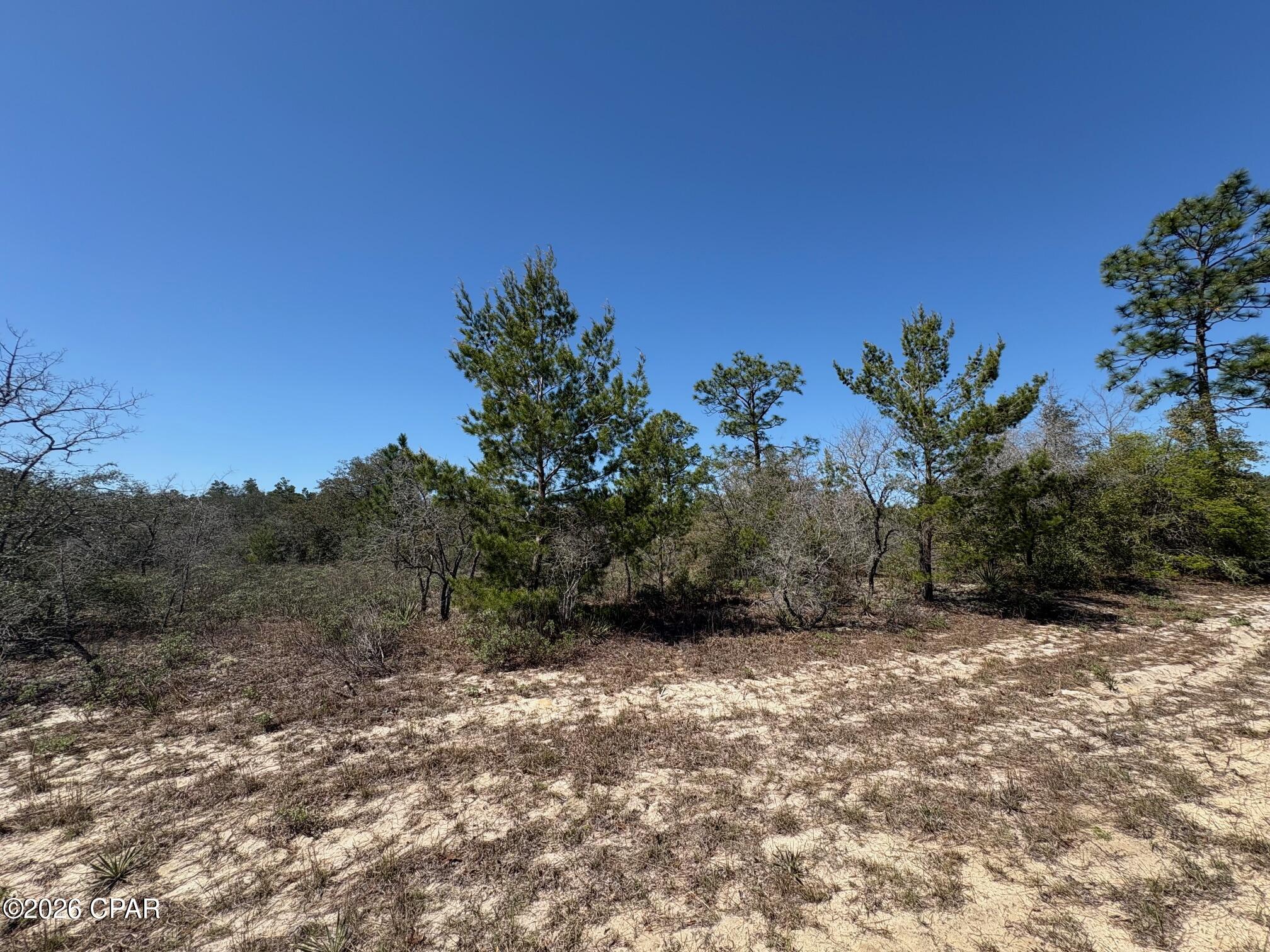 Land in Chipley 4