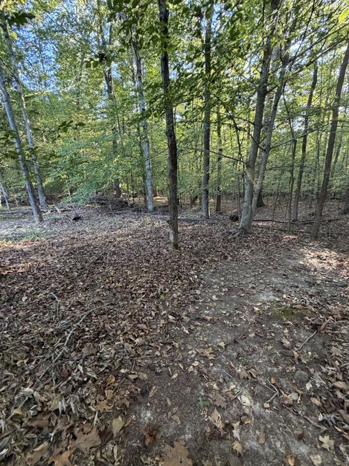 559 Pleasant Hill Rd, Dover, TN, 37058 | Card Image
