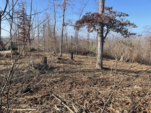 0 Driftwood Dr, Lobelville, TN, 37097 | Card Image