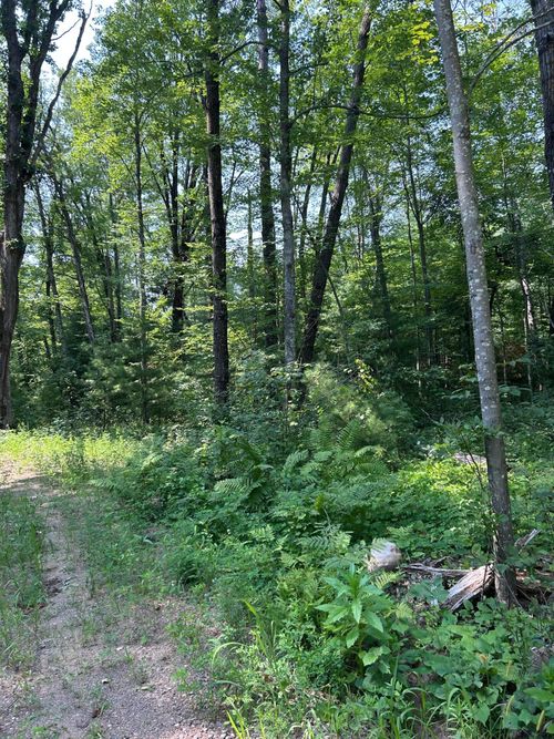 26987 Mariee Rd, Webster, WI, 54893 | Card Image