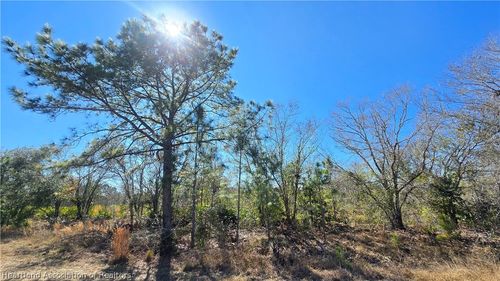 1870 Bear Bryant Rd, AVON PARK, FL, 33825 | Card Image