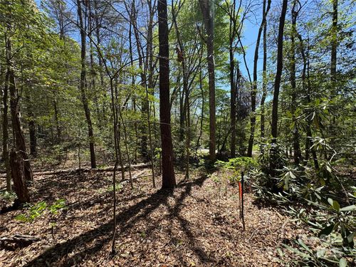 60 E Spring Wheel Dr, Old Fort, NC, 28762-0709 | Card Image